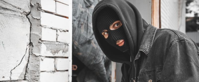 vologda-poisk.ru Тимур Бойков/