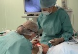 История Екатерины: путь к себе через доверие и профессионализм  
