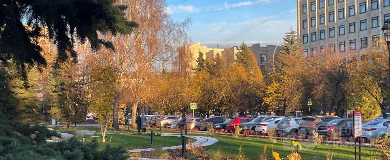Фото Тимура Бойкова/Вологда-Поиск