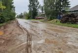 Жители Вытегры устали жить в грязи