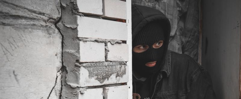 Тимур Бойков, Vologda-poisk.ru