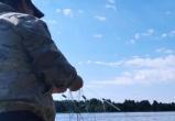 ВНИРО вологодский филиал соцсети