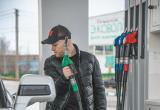 Тимур Бойков, Vologda-poisk.ru
