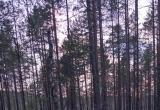 АСУНЦ "Вытегра" АСУНЦ "Вытегра"