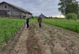 Эксперт назвала бытовые привычки, разрушающие здоровье спины