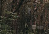 Фото Тимура Бойкова/Вологда-Поиск