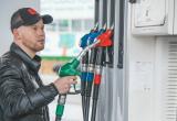 Тимур Бойков, Vologda-poisk.ru Тимур Бойков, Vologda-poisk.ru