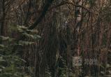 Фото Тимура Бойкова/Вологда-Поиск