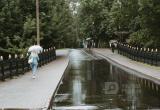 Фото Тимура Бойкова/Вологда-Поиск