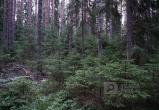 Фото Вологда-Поиск