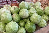 Врач назвала самый полезный осенний продукт