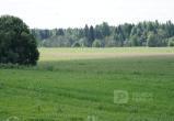 Фото: портал "Вологда-поиск"