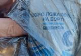 Фото социальные сети Фото социальные сети