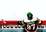 Фото: https://www.nhl.com/wild