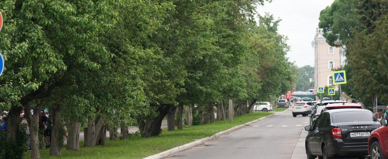 Фото Тимура Бойкова/Вологда-Поиск