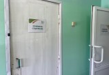 Какие сигналы подает организм при заражении паразитами