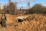 Фото Анны Язинской/"Вологда-Поиск"