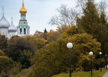 Какие анализы стоит сдать осенью Какие анализы стоит сдать осенью