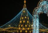 Фото Тимура Бойкова/Вологда-Поиск