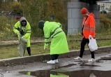 «Чистые игры» в Вологде объединили 302 команды и более 1000 участников
