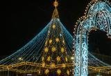 Фото Тимура Бойкова/Вологда-Поиск