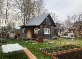 Как подготовить деревья к зиме