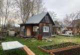 Как подготовить деревья к зиме