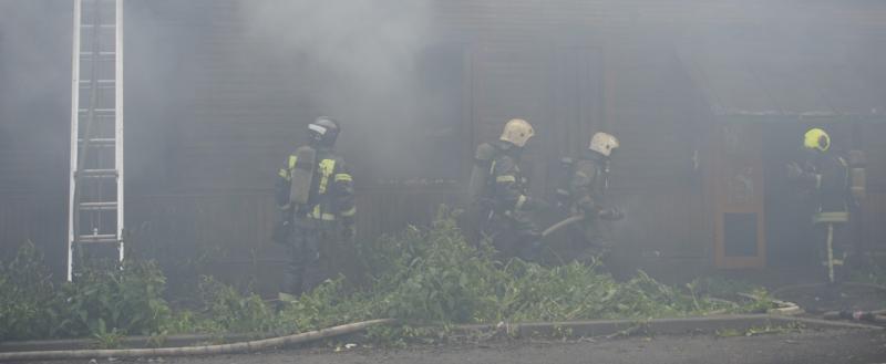 Никита Трушков, Vologda-Poisk.ru