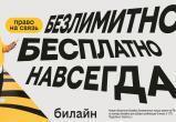 С Днём сотовой независимости! Билайн запустил бесплатную подписку на связь и объявил новый праздник
