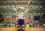 Фото: https://vk.com/chervolley