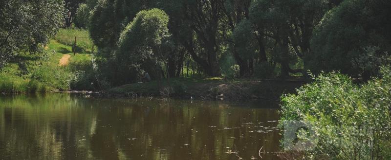 Фото Тимура Бойкова/Вологда-Поиск