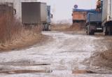 Фото Тимура Бойкова/Вологда-Поиск
