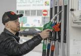 Тимур Бойков, Vologda-poisk.ru
