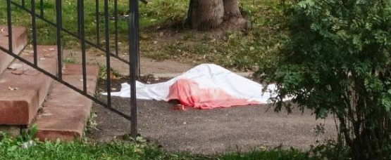 Вологодский канвой