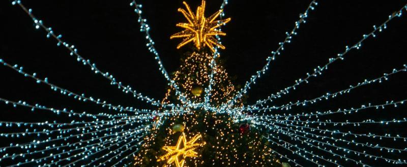 Тимур Бойков, Vologda-poisk.ru