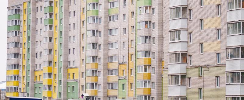 Фото Тимура Бойкова/Вологда-Поиск