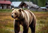 сгенерировано нейросетью Шедеврум