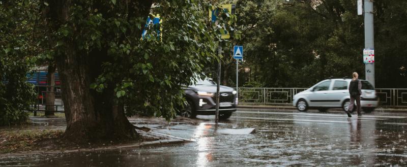 Фото: «Вологда-поиск»