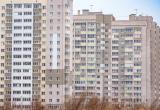 Фото Тимура Бойкова/Вологда-Поиск
