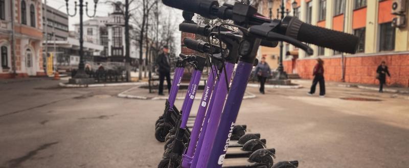 Фото: «Вологда-поиск»