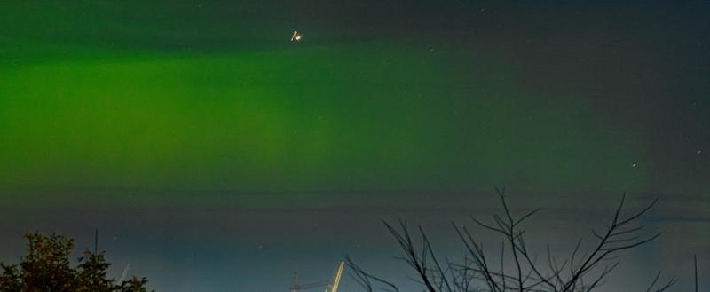 Тимур Бойков, Vologda-poisk.ru