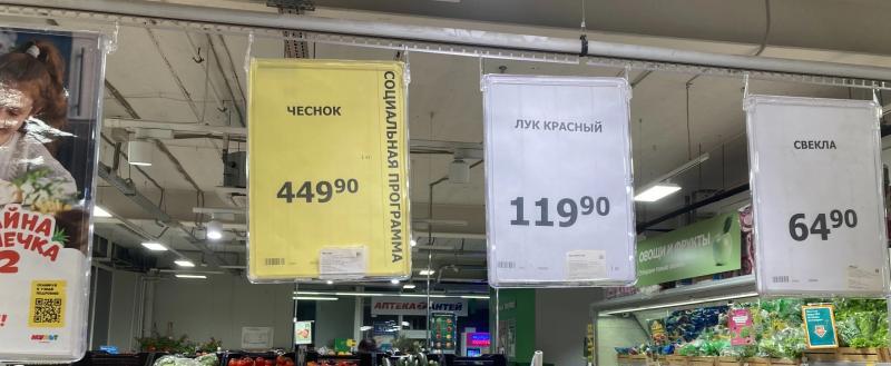 Фото: «Вологда-поиск»