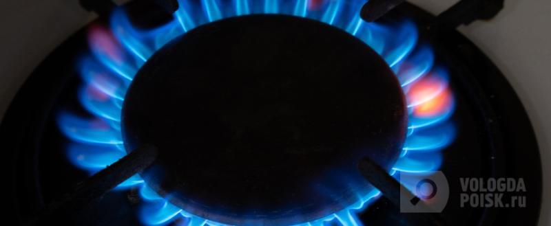 Тимур Бойков / Вологда-Поиск