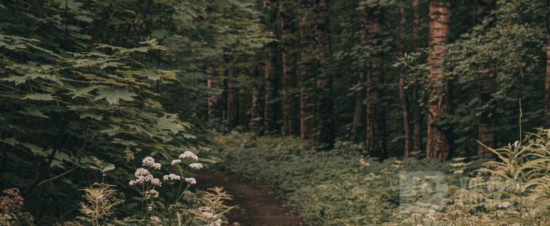 Тимур Бойков / Вологда-Поиск