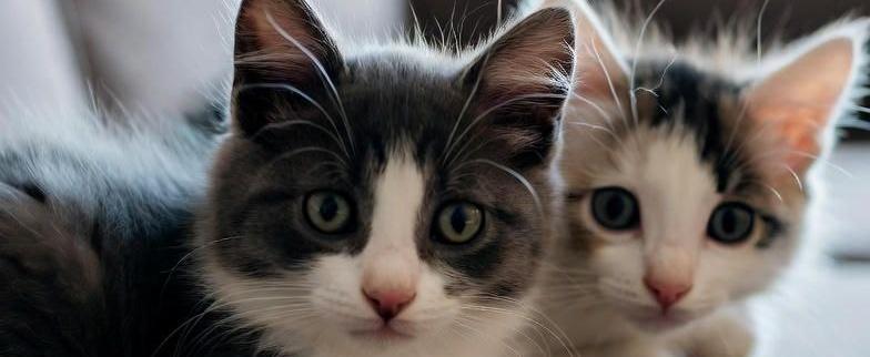 Изображение сгенерировано ИИ