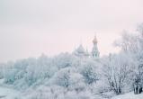 Фото: «Вологда-поиск» Фото: «Вологда-поиск»