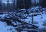 УФСБ России по Вологодской области УФСБ России по Вологодской области