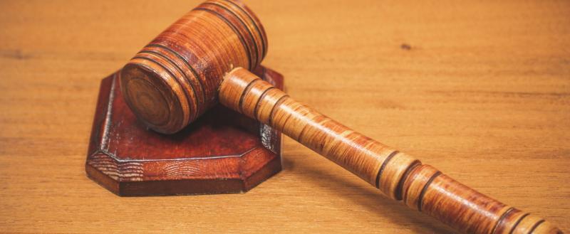 Фото: «Вологда-поиск»