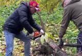 Фото пресс-службы Законодательного собрания Вологодской области Фото пресс-службы Законодательного собрания Вологодской области