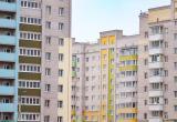 Фото Тимура Бойкова/"Вологда-Поиск" Фото Тимура Бойкова/"Вологда-Поиск"